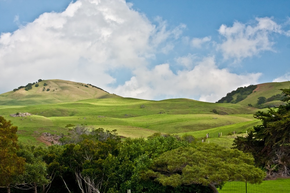 A lush, green valley, blue sky, and white clouds of Kamuela in Hawai'i, where you might be asking, Do I need a personal injury lawyer?